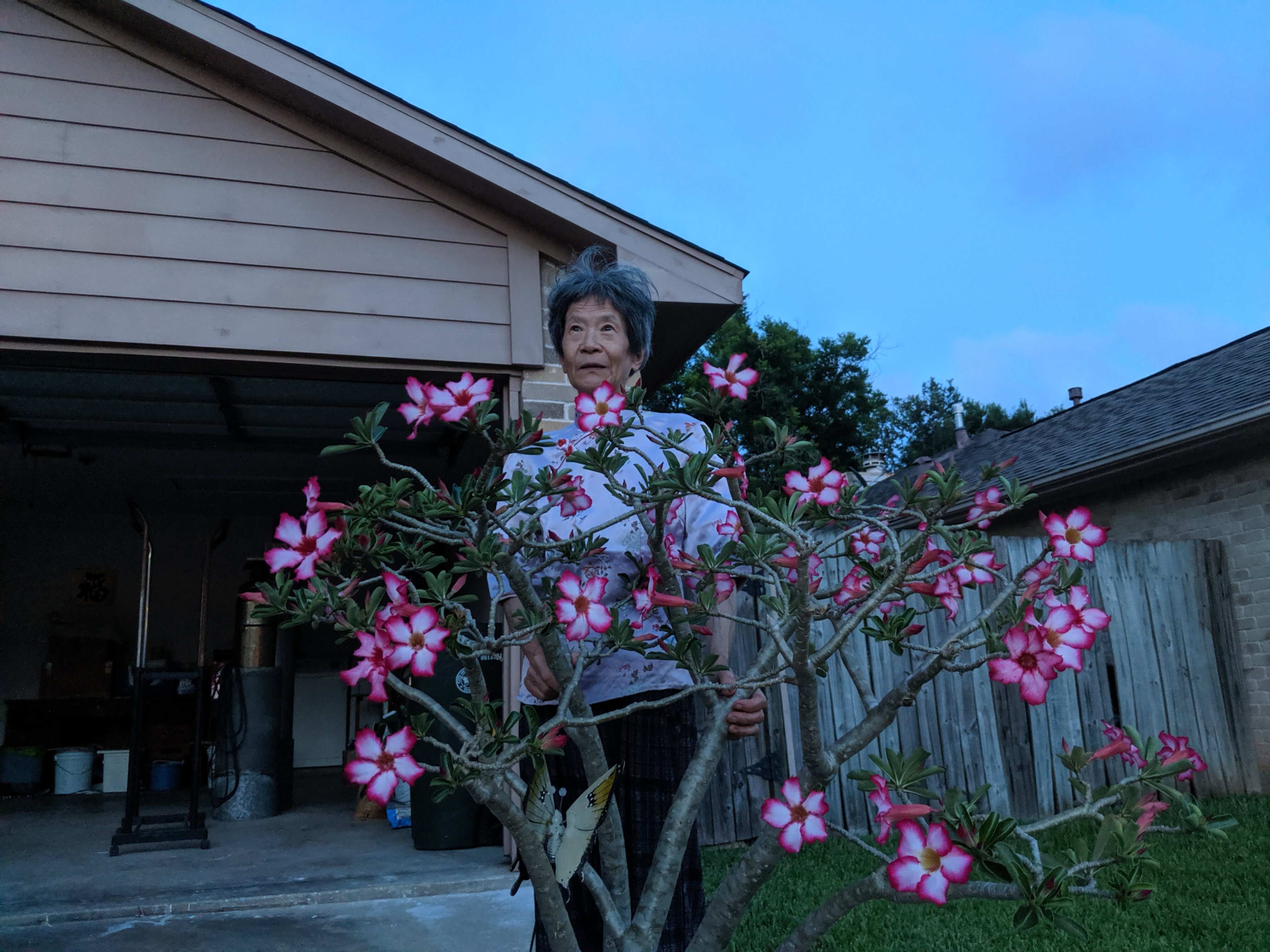 with her desert rose of more than 20 years