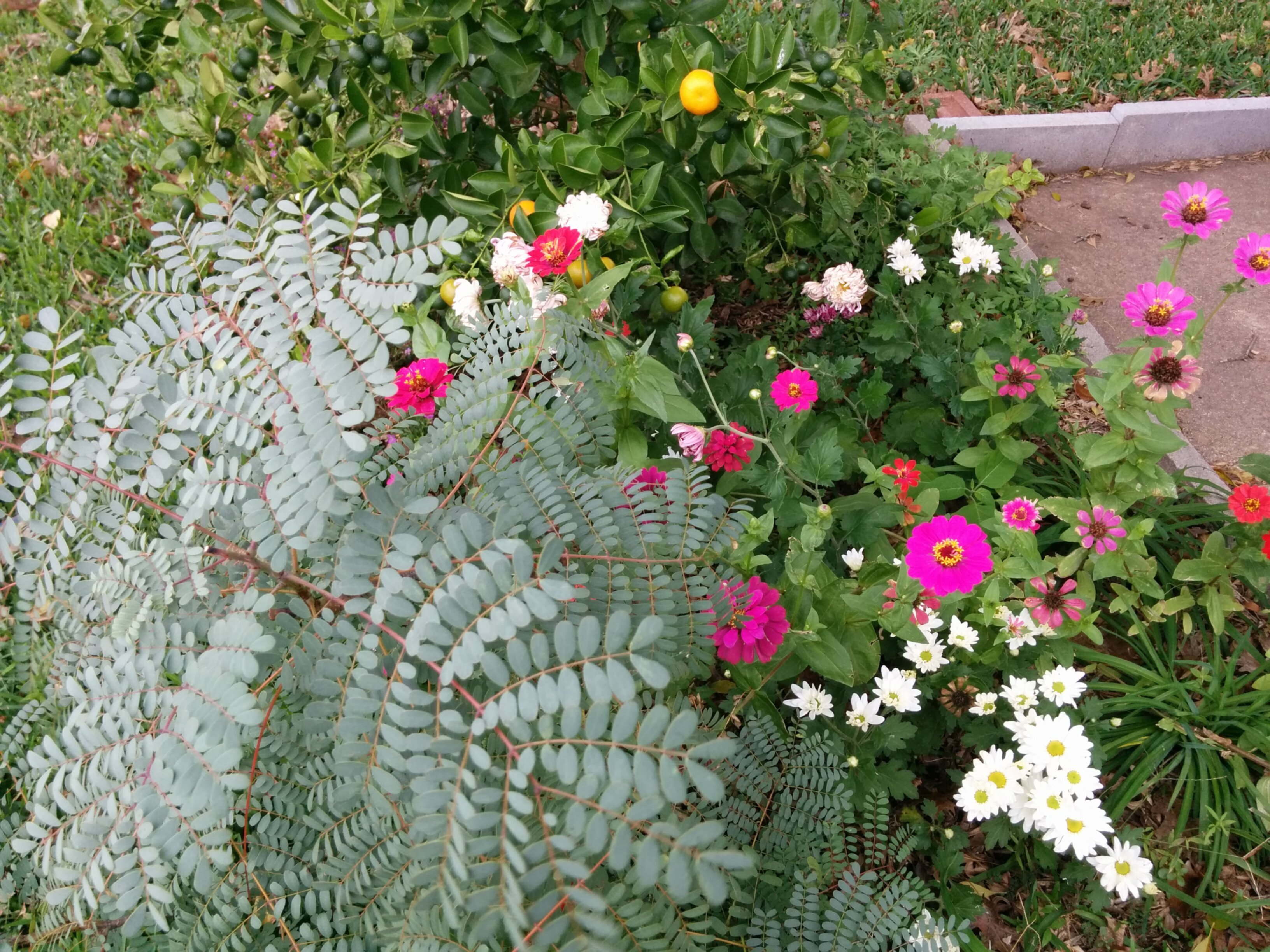 colorful array
