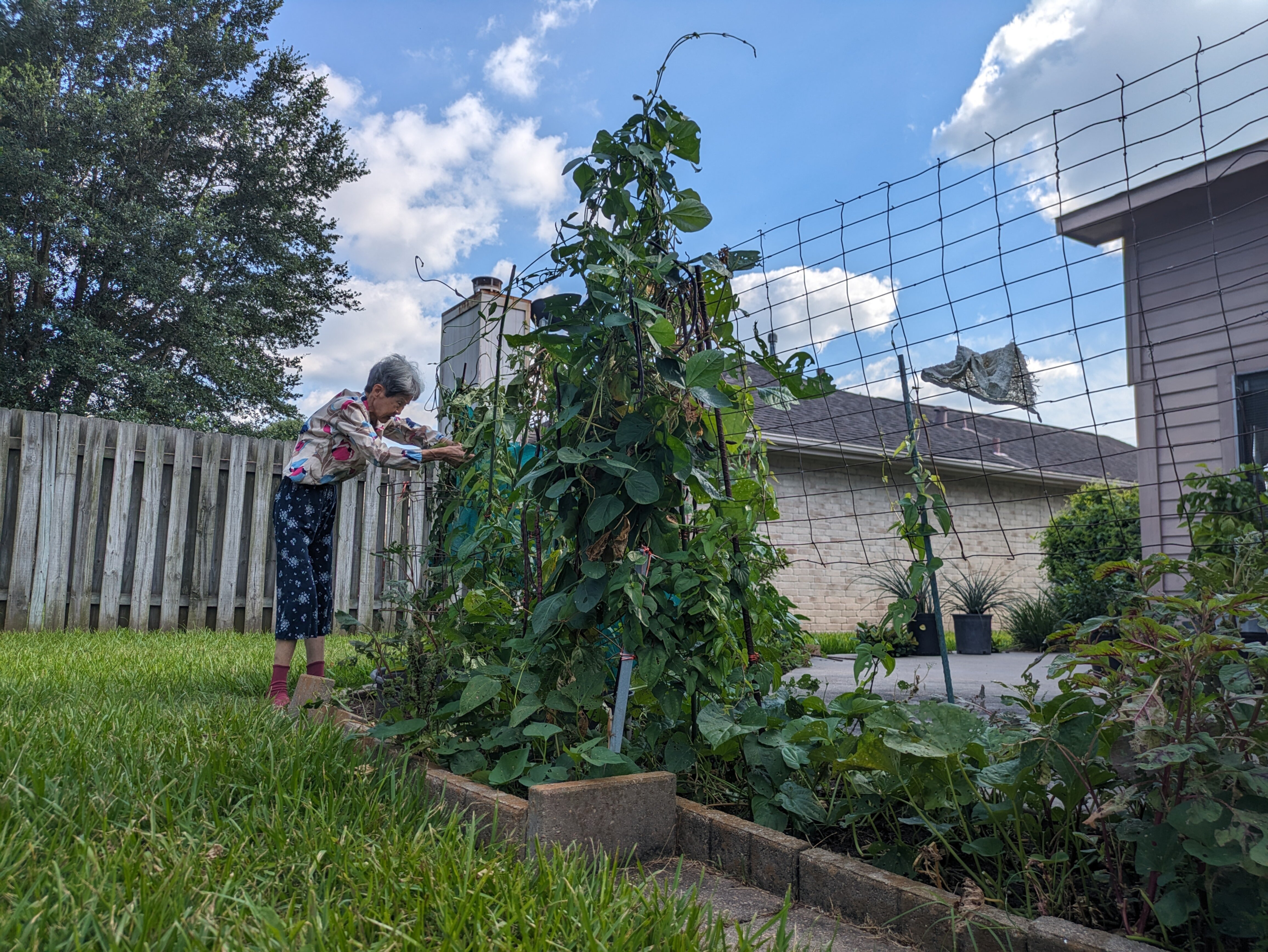 gardening